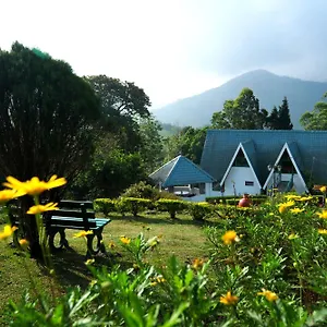 *** Resort Camelot India
